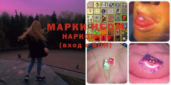 хмурый Алексин