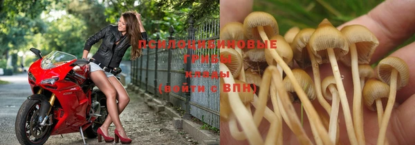 прущие крисы Алексеевка