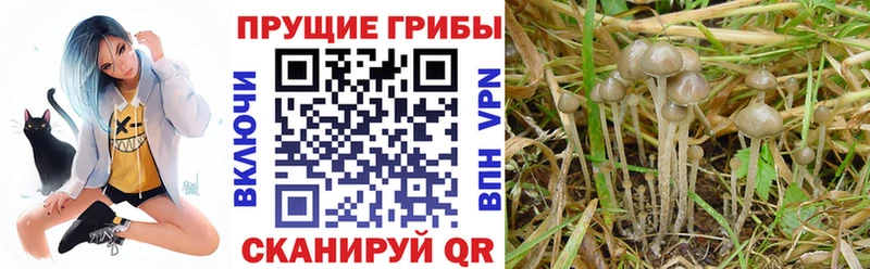 Галлюциногенные грибы MAGIC MUSHROOMS  Орлов 